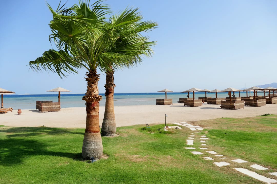 Strand Shams Prestige Abu Soma-Adults Only