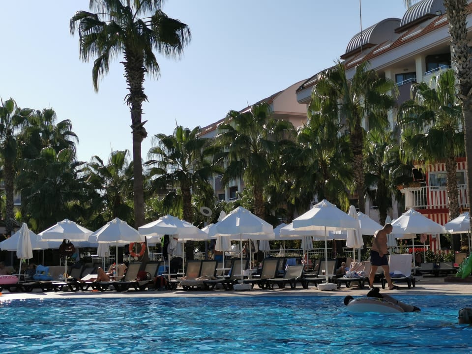 Pool Hane Family Resort