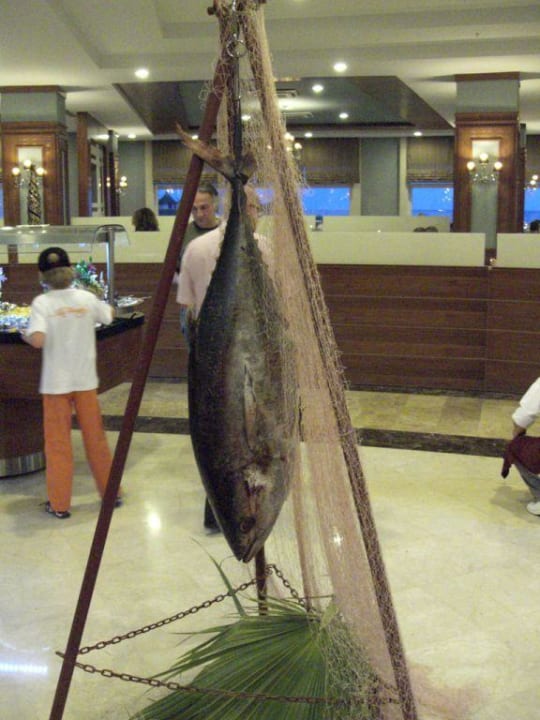 Thunfisch/Deko im Restaurant Seaden Sea World Resort & Spa