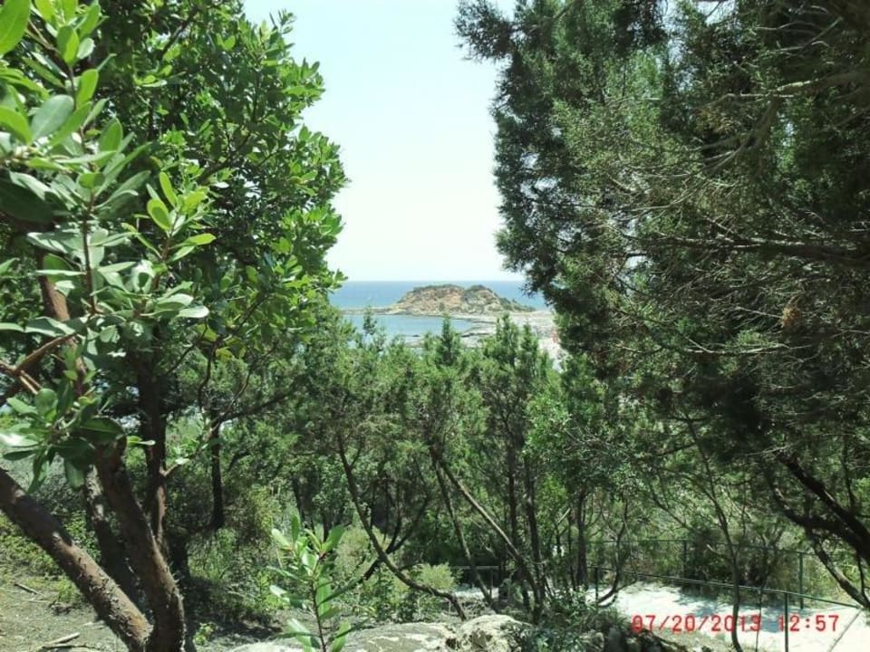 Blick zum Strand vom Pinienwald aus Rodos Princess Beach Hotel & Spa