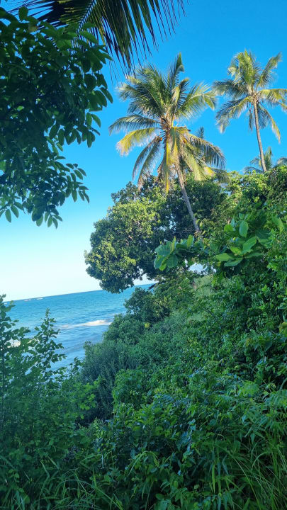 Ausblick Baobab Beach Resort & Spa