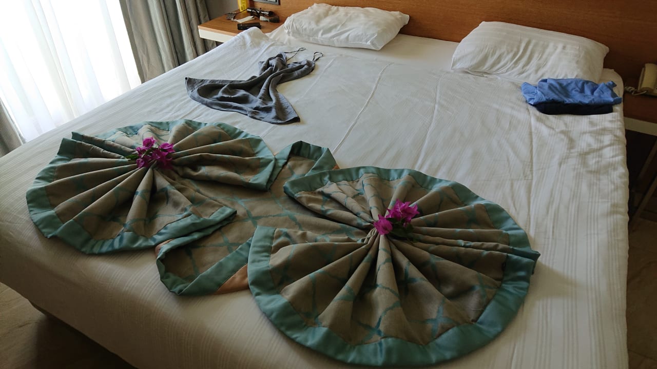 Zimmer Papillon Ayscha