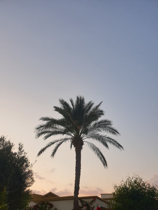 Strand Mitsis Rodos Village
