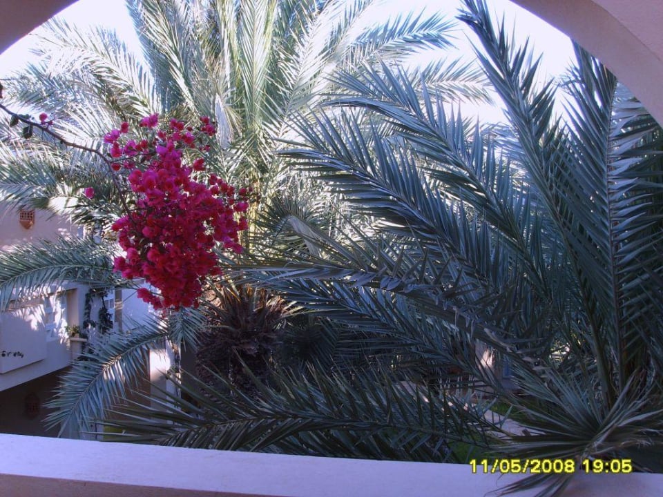 Zita beach resort room Zita Beach Resort