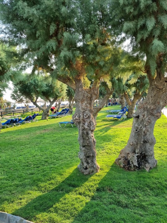 Gartenanlage Anissa Beach & Village