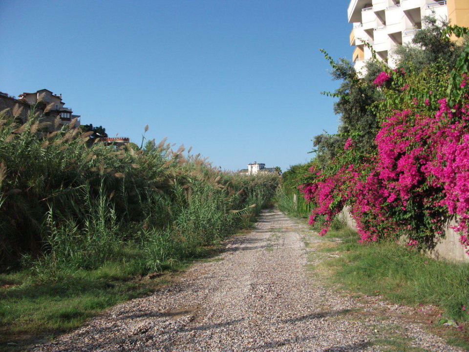 Weg zum Strand My Home Resort