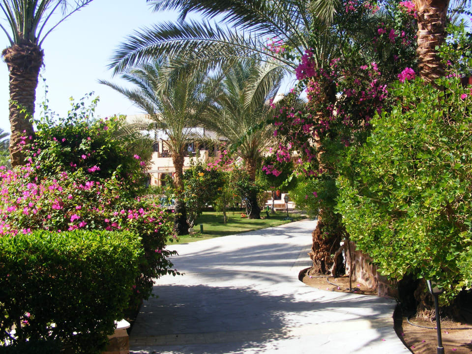 Schöne Gartenanlage Steigenberger Coraya Beach - Adults only