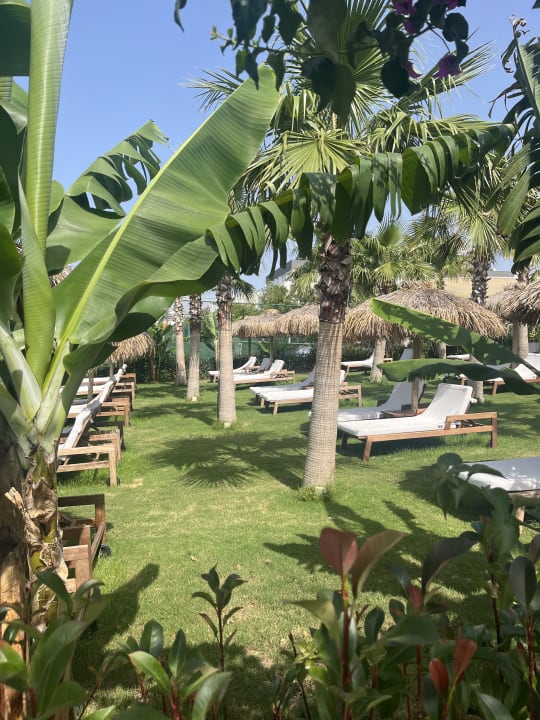 Gartenanlage Rubi Platinum Sign