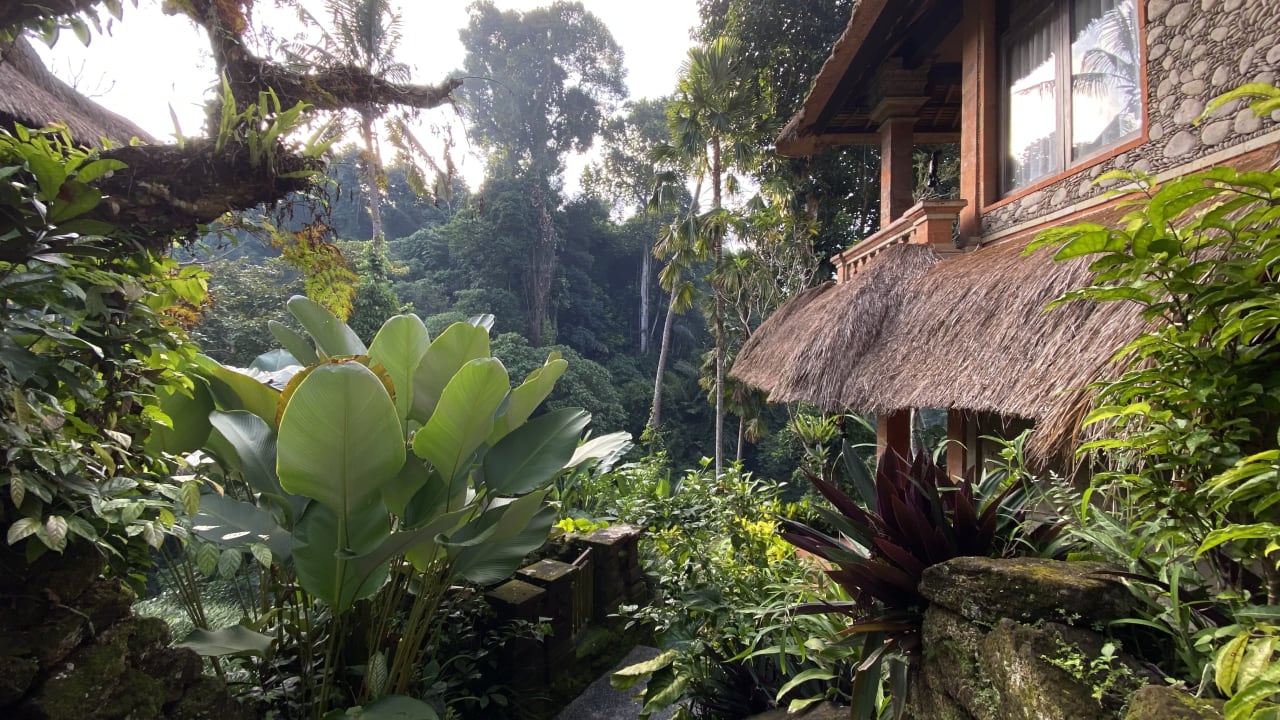 Ausblick Hotel Tjampuhan