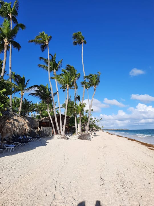 Strand TRS Turquesa Hotel - Adults only