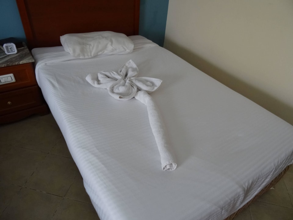 Vielen Dank für die Blumen Titanic Beach Spa & Aqua Park