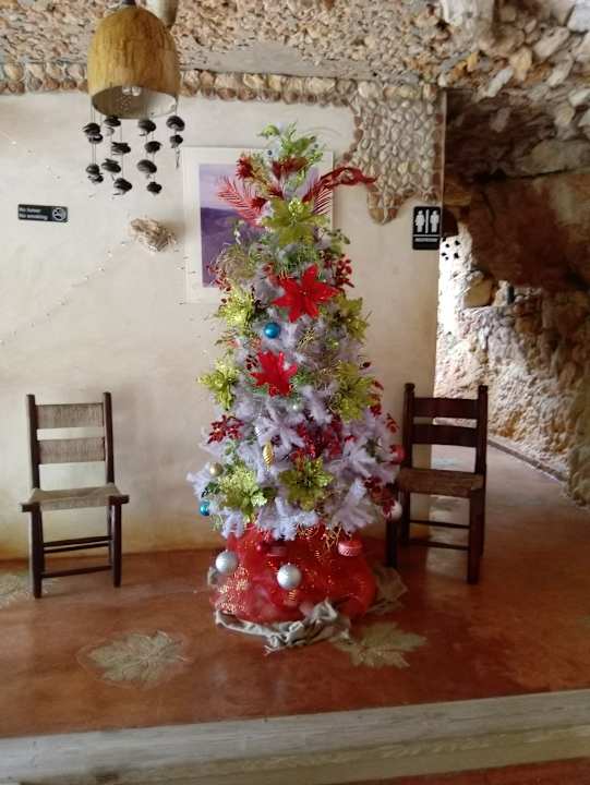 Sonstiges B&B Paraiso Caño Hondo