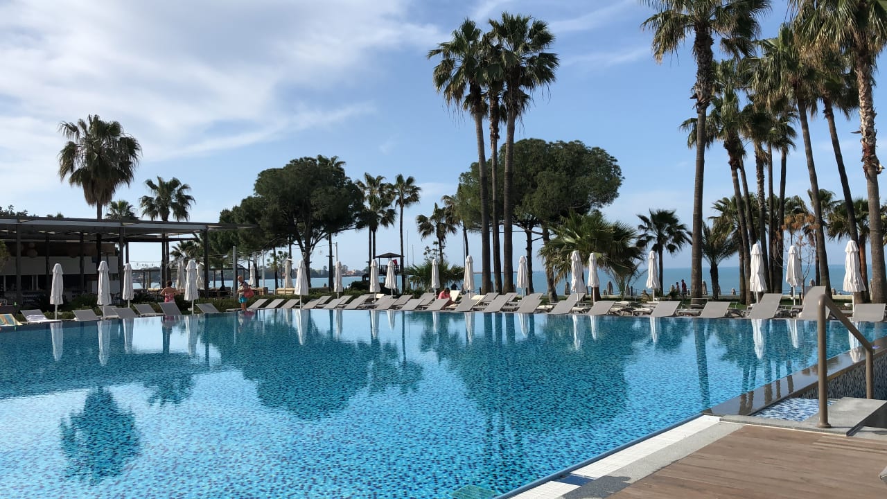 Pool Acanthus Cennet Barut Collection