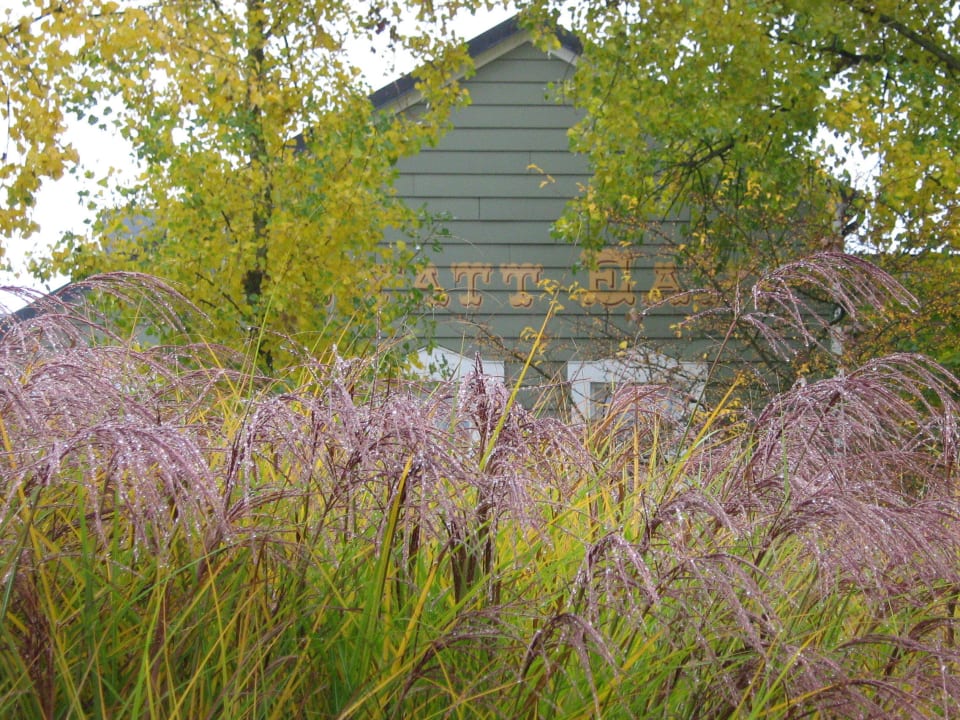 Garten Disney's Hotel Cheyenne