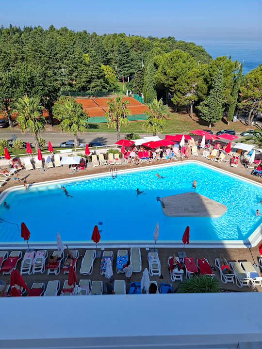 Pool Hotel Albatros Plava Laguna