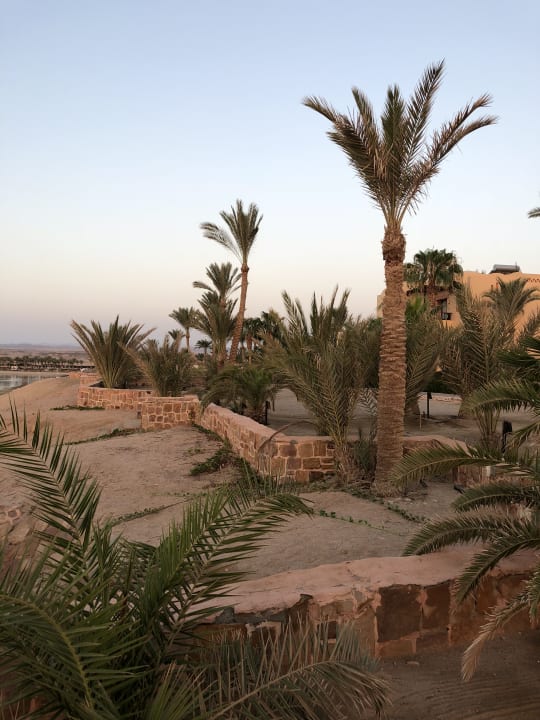 Ausblick Steigenberger Coraya Beach - Adults only