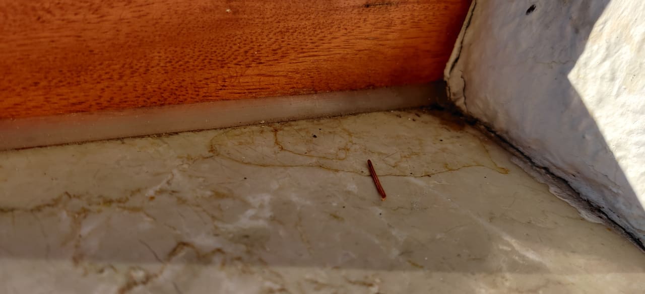 Zimmer Hotel Empfinger Hof, Sure Hotel Collection by Best Western