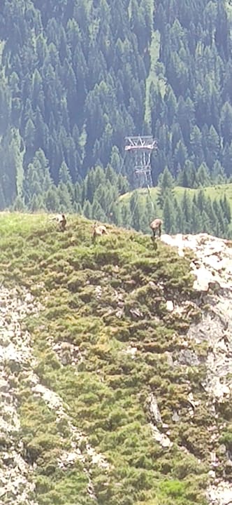 Ausblick Alpenromantik Hotel Wirler Hof