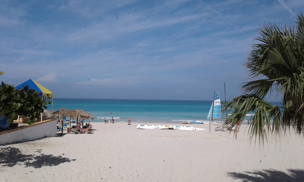 Strand Starfish Cuatro Palmas