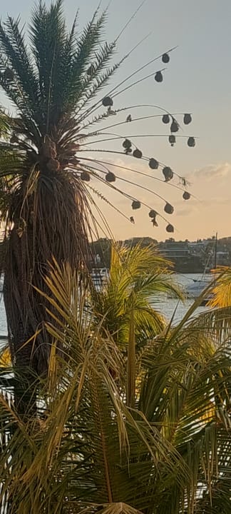 Ausblick Mauricia Beachcomber Resort & Spa