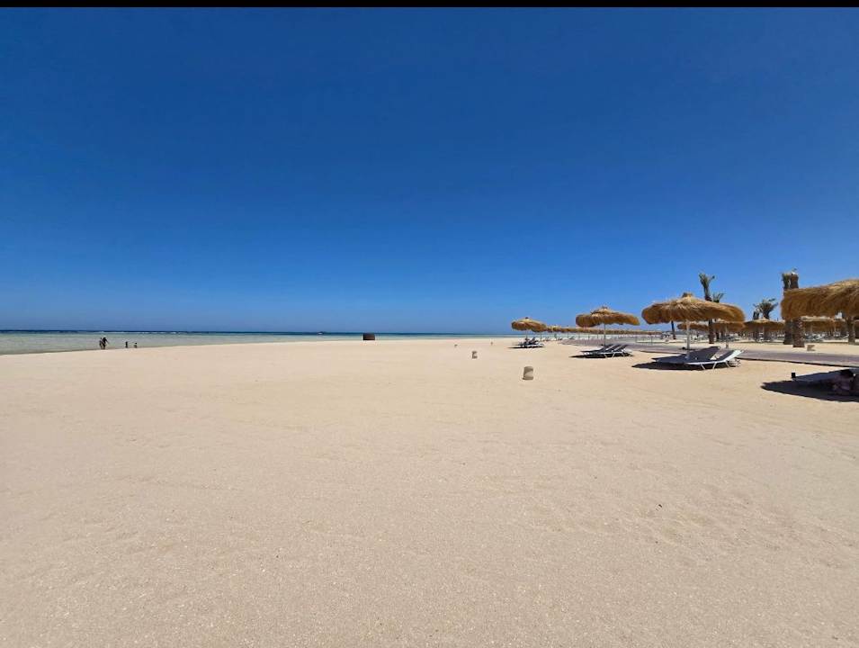 Strand JAZ Elite Asteria