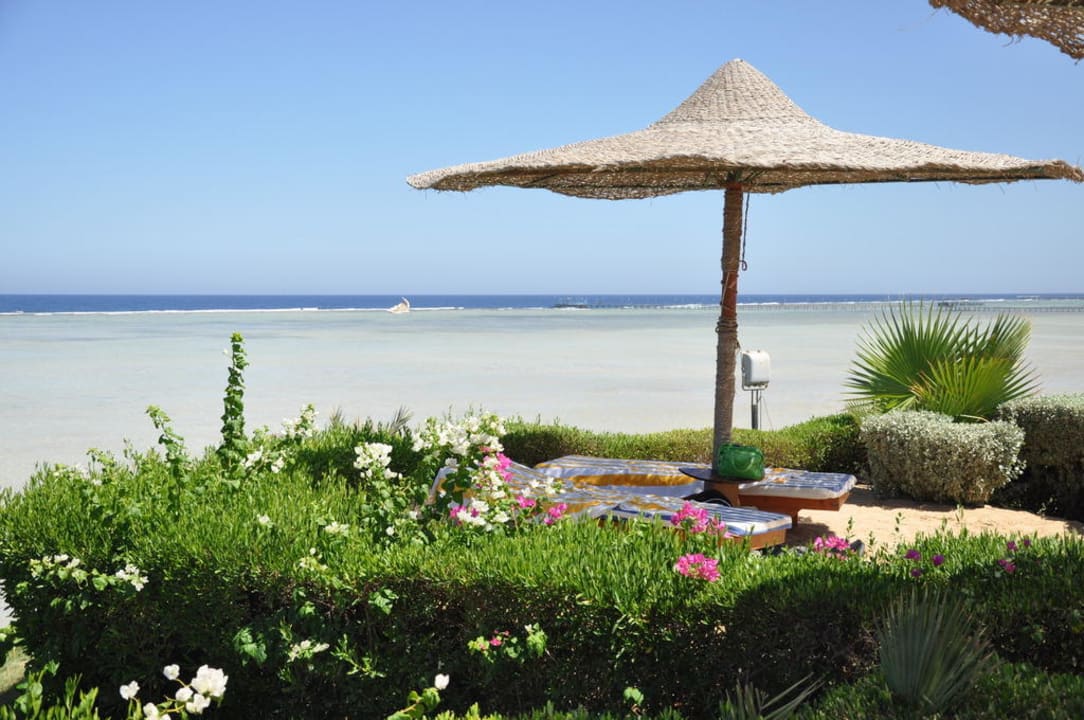 Widok na morze Blue Reef Red Sea Resort