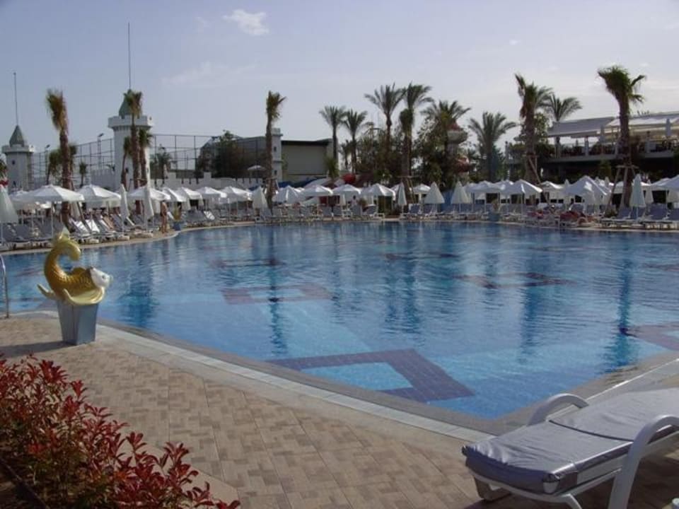 Pool Hotel Delphin Imperial