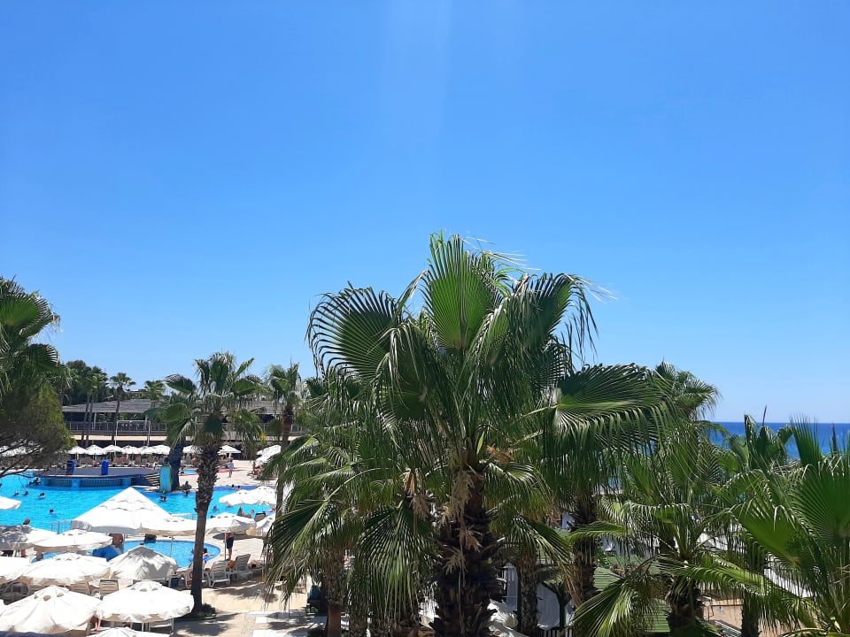 Ausblick Botanik Hotel & Resort