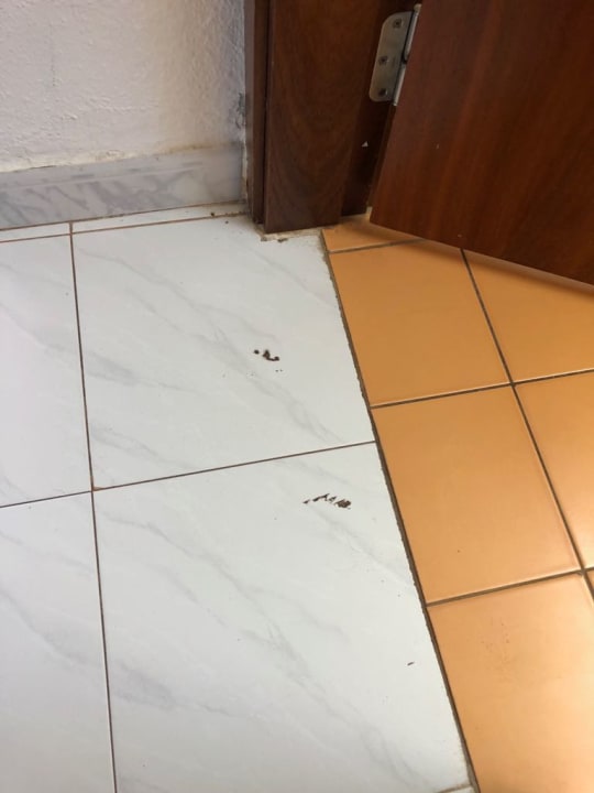 Zimmer SBH Hotel Taro Beach