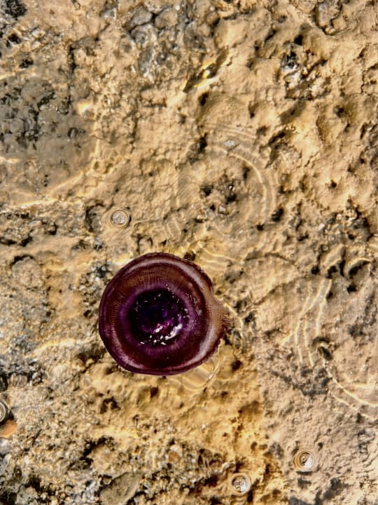 Strand True Beach Village