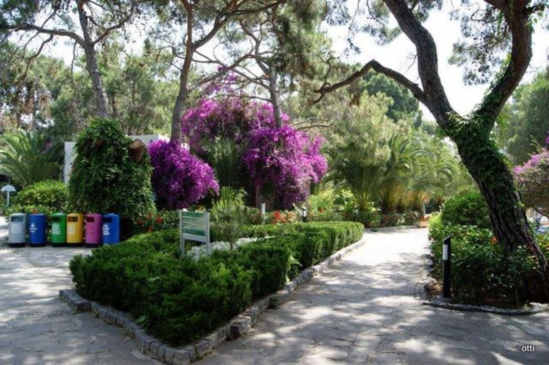 Immer farbig Blue Waters Club