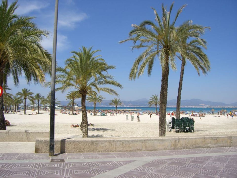 Strand in Hotelumgebung HSM Reina del Mar