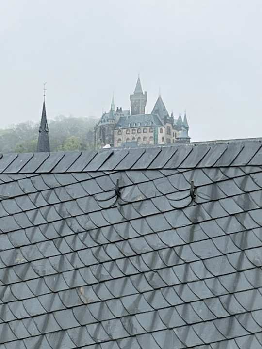 Ausblick A-ROSA Gothisches Haus Wernigerode