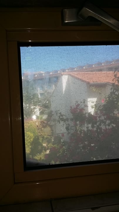 Zimmer Selectum Family Comfort Side