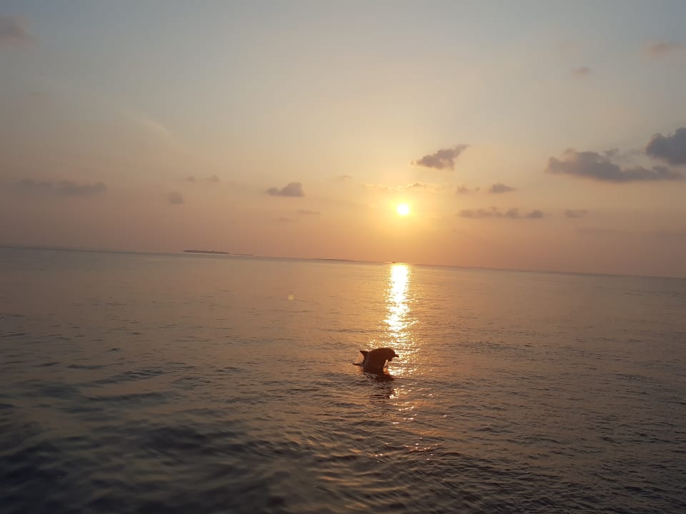 Ausblick Kihaa Maldives