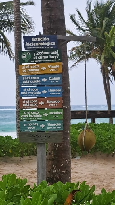 Sonstiges Catalonia Royal Tulum Beach & Spa Resort - Adults only