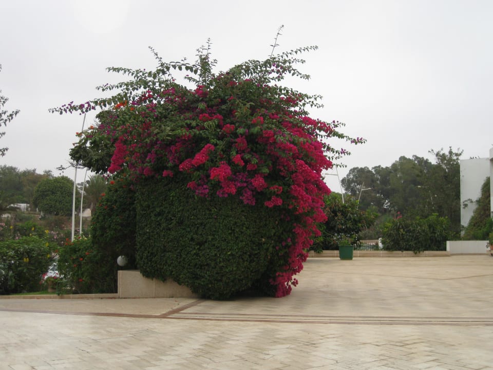À l'entrée de l'hôtel Agadir Beach Club Hotel