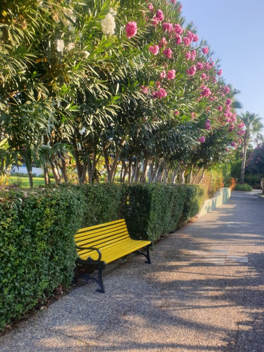Gartenanlage VONRESORT Golden Beach