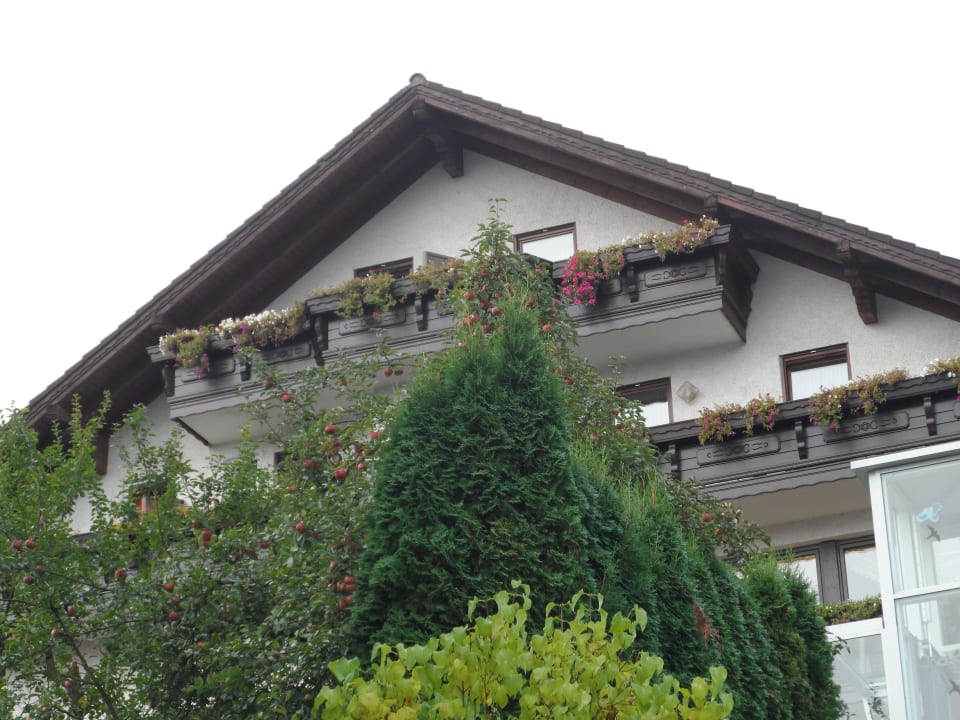 Wir wohnten ganz oben, Fahrstuhl vorhanden Landhotel Spessartruh