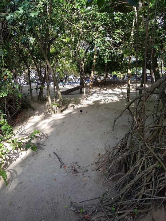 Strand Sunscape Puerto Plata