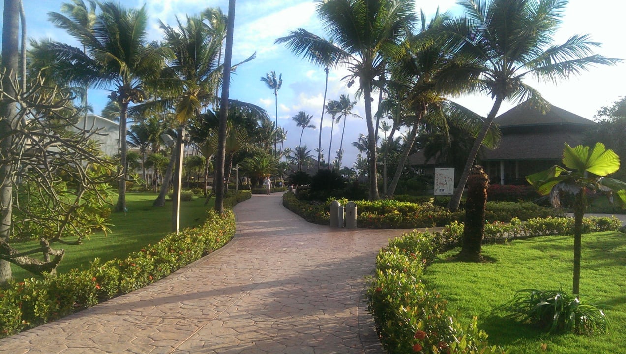 Garten VIK Hotel Arena Blanca