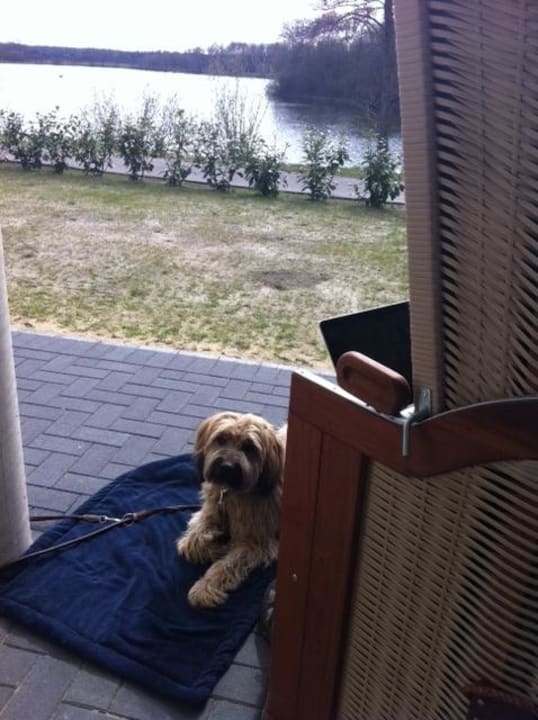 Auch unser Hund hat sich sehr wohl gfühlt.  Haus am See Haselünne