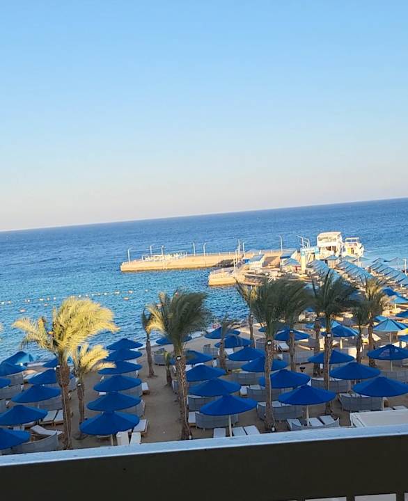 Zimmer Beach Albatros Resort