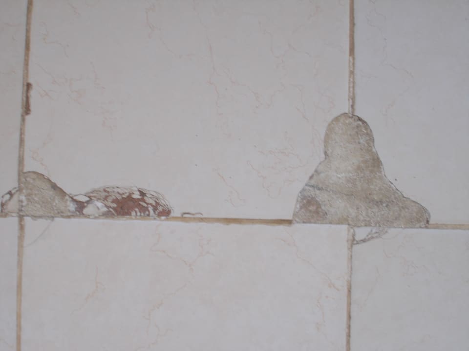 Sonstiges Sirenis Tropical Varadero