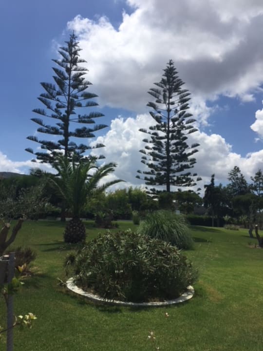 Gartenanlage TUI BLUE Oceanis Beach and Spa Resort