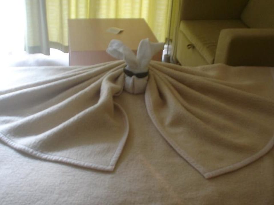 Wykonane przez sprzątaczkę Park Hotel Golden Beach