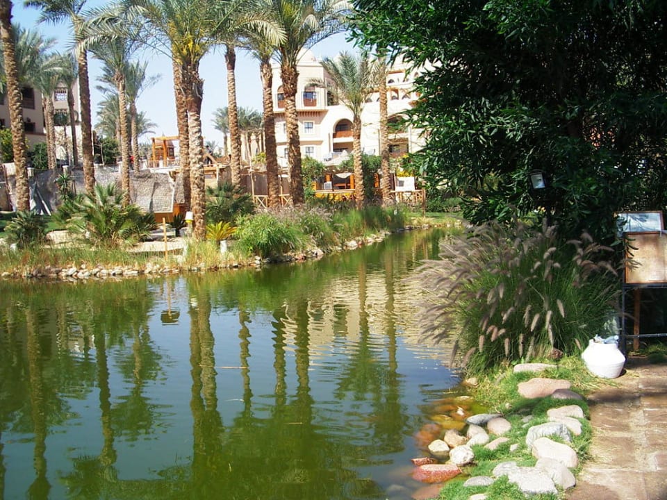 Koi-Teich Makadi Palace