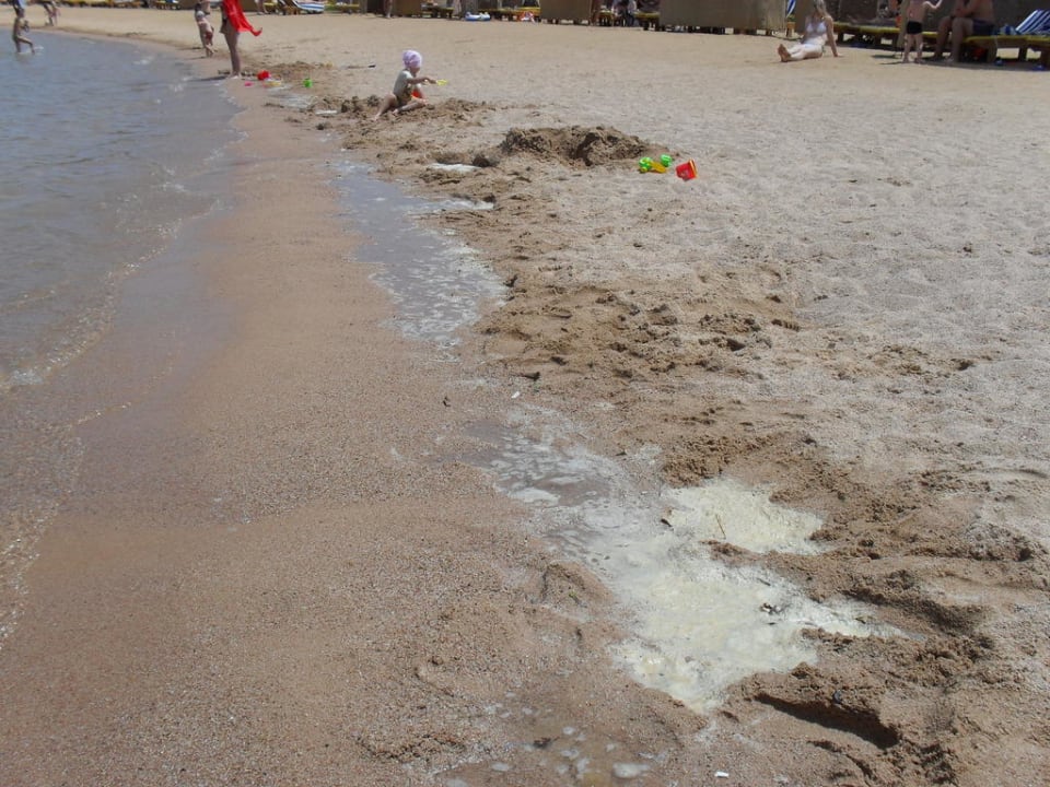 Żur w hotelowej zatocce Desert Rose