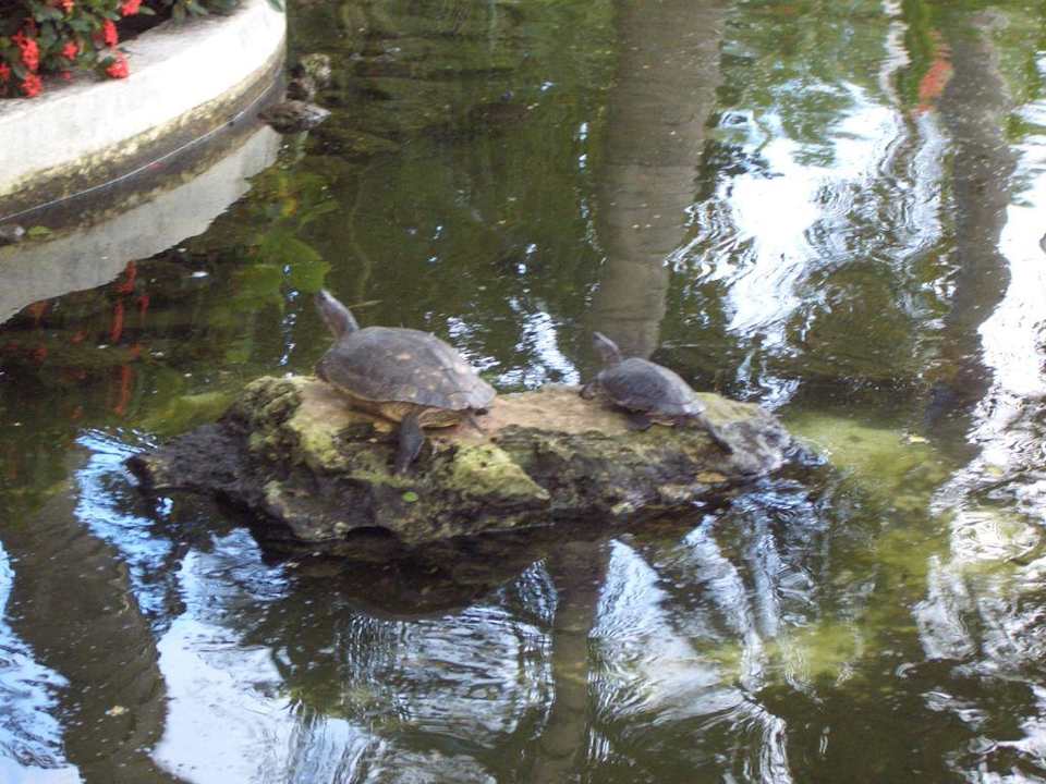 Gewässer vor der Rezeption Grand Palladium Select Bávaro Resort & Spa