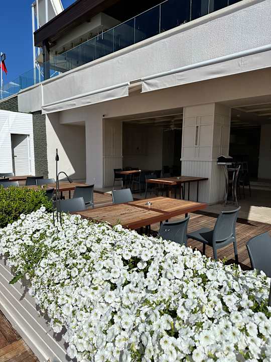 Gastro Voyage Sorgun